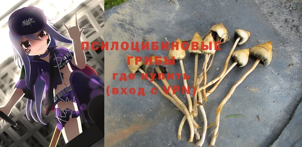 ГАЛЛЮЦИНОГЕННЫЕ ГРИБЫ Кулебаки