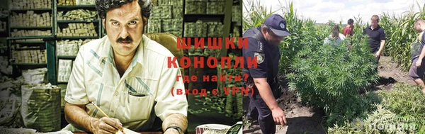 ГАЛЛЮЦИНОГЕННЫЕ ГРИБЫ Кулебаки