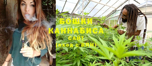 ГАЛЛЮЦИНОГЕННЫЕ ГРИБЫ Кулебаки