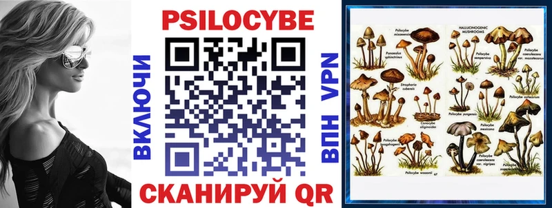 купить закладку  Удачный  Галлюциногенные грибы мицелий 